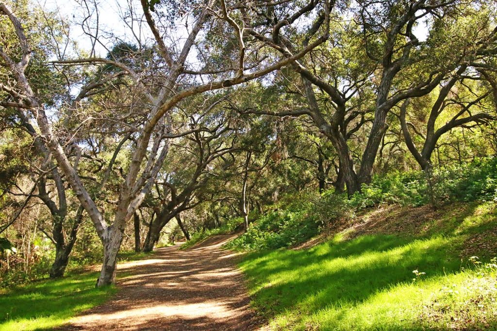 El Divisadero Park